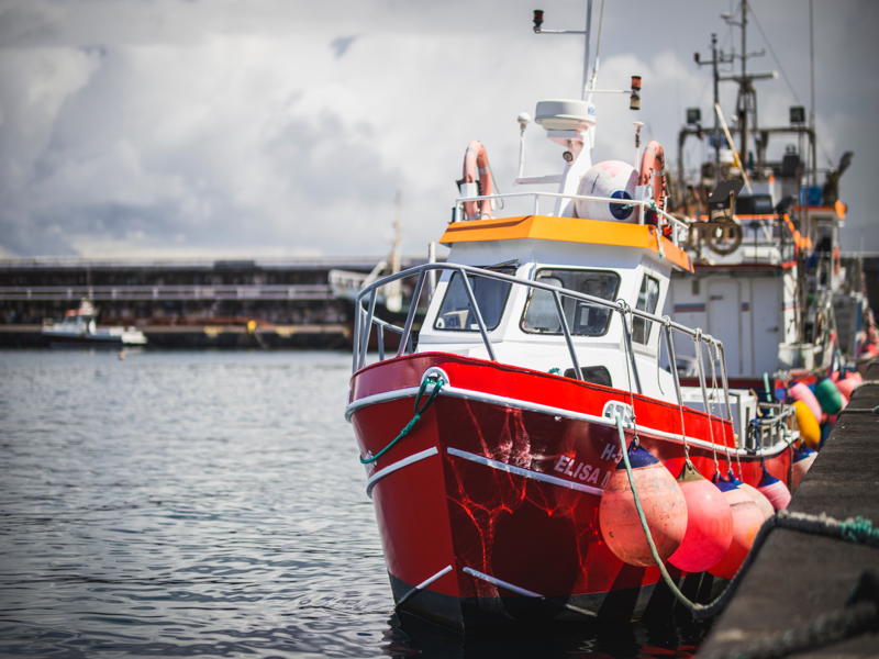 fishing vessel barche da pesca satellitare iridium Fleetone sat